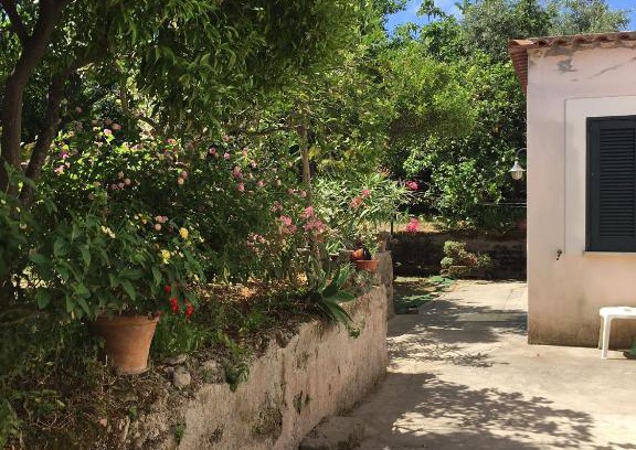Ischia Porto Apartment | Al Giardino