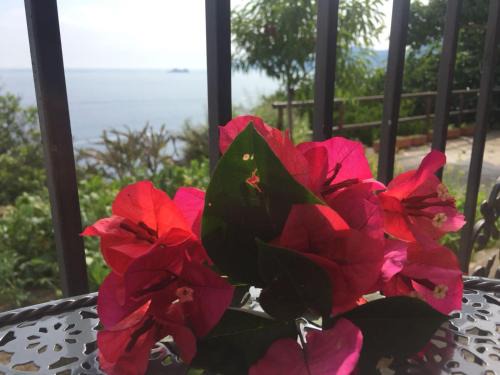 Praiano House | Casa Rosetta