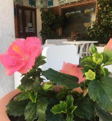 Castelluccio Inferiore Hotel | Hotel PINO LORICATO