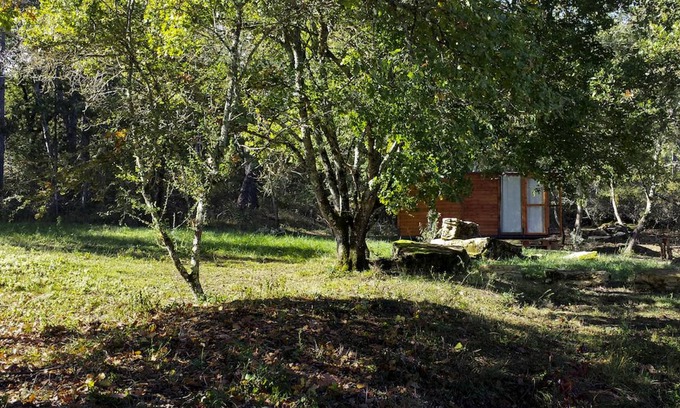 Bucine House | House ∙ 1 bedroom ∙ 2 guests
