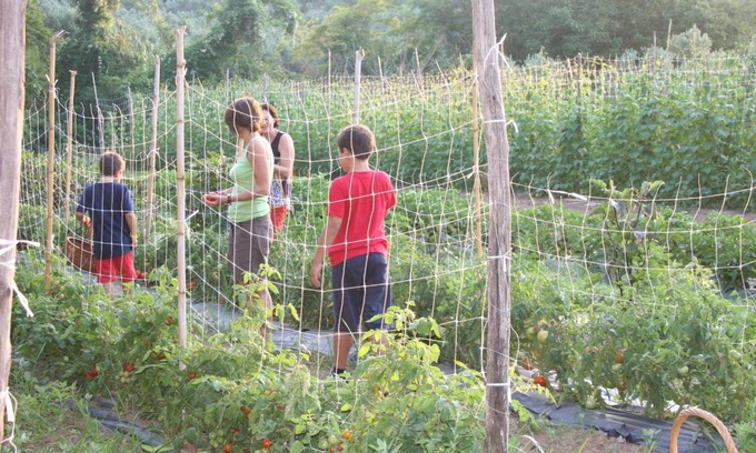 San Pietro a Maida House | House ∙ 4 guests