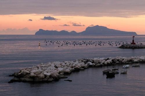 Chiaia Bed & Breakfast | Terrazze del Lungomare