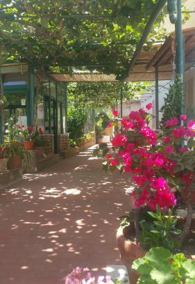 Capri Bed & Breakfast | Villa dei fiori B&B
