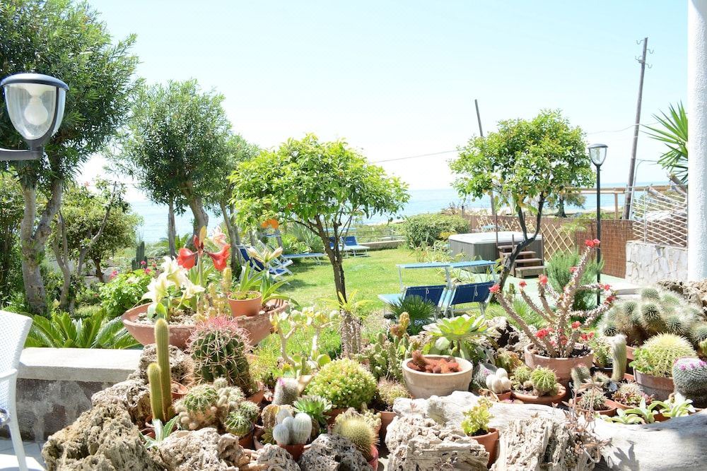 Photo of Others in Barano d'Ischia