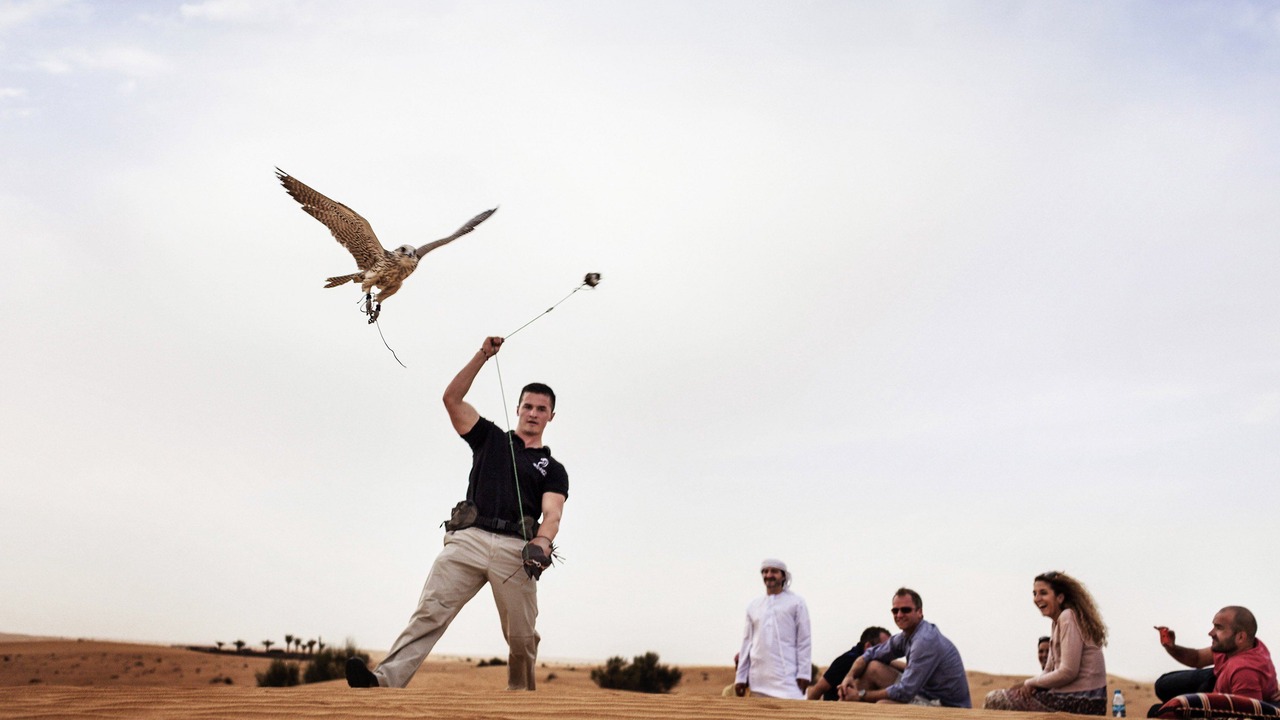 Photo of Others in Deira