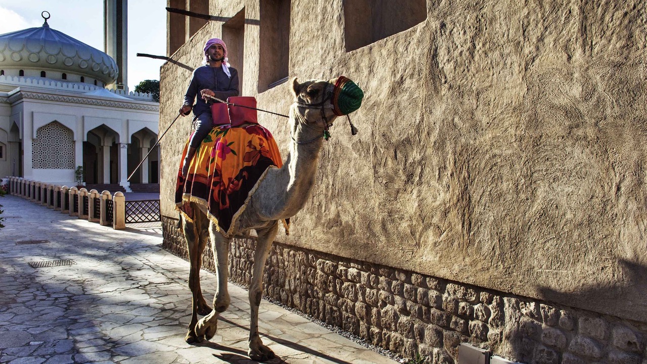 Photo of Others in Al Mina