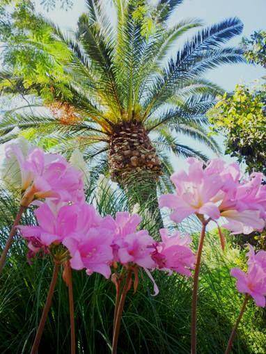 Photo of Outdoor in Barano d'Ischia