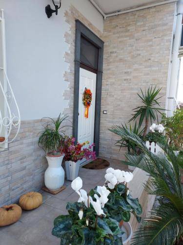 Photo of Others in Torre Annunziata