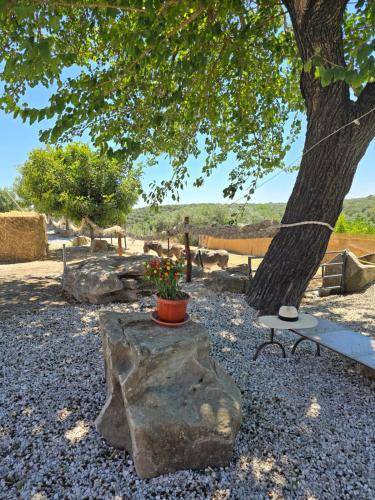 Photo of Others in Montecorvino Rovella