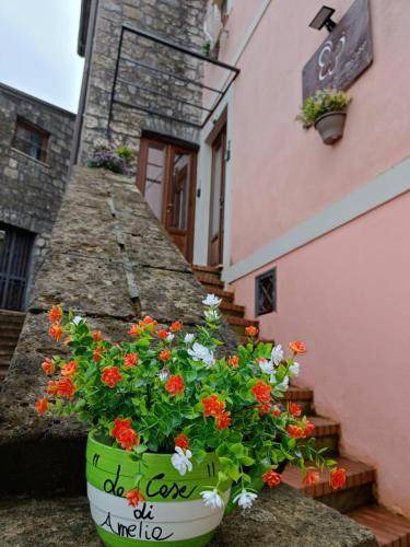 Photo of Buildings in Ruviano