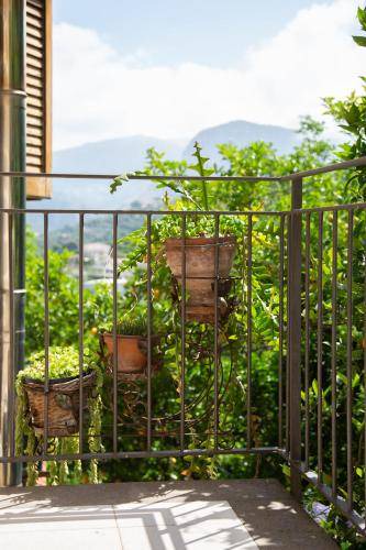 Photo of Others in Sant'Agnello