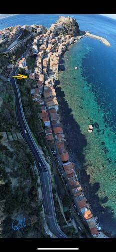 Photo of Others in Scilla