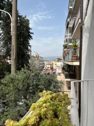 Photo of Others in Ottaviano