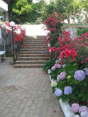 Photo of Others in Ischia Porto