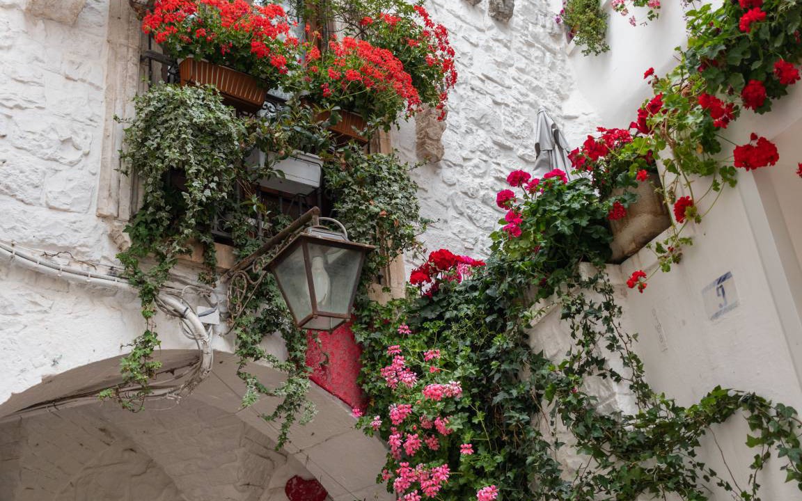 Photo of Others in Old Town Cisternino