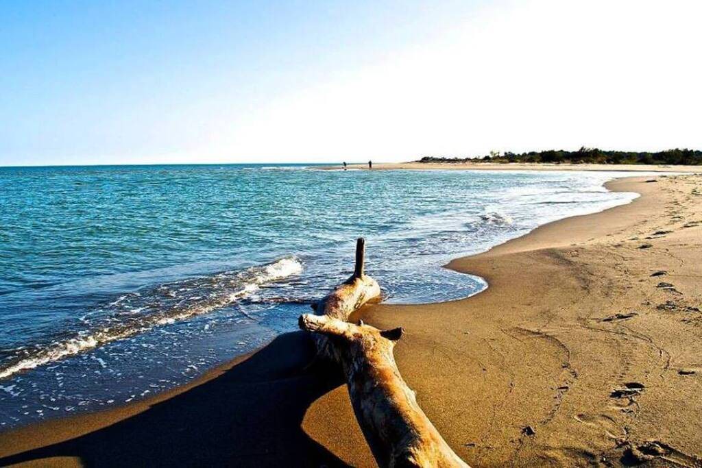 Photo of Others in Marina di Pisticci