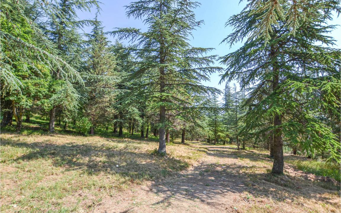 Photo of Others in Apecchio