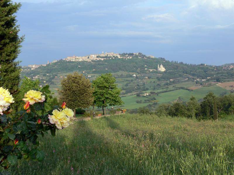 Photo of Others in Castiglione d'Orcia