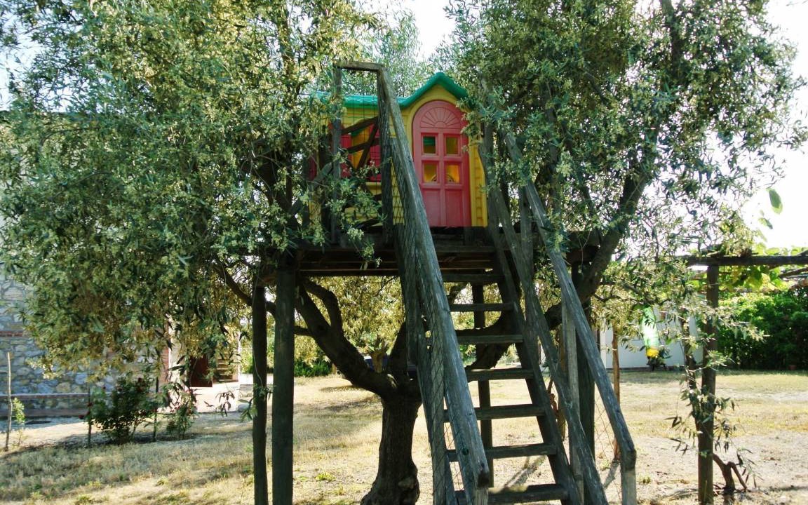 Photo of Others in Magliano in Toscana