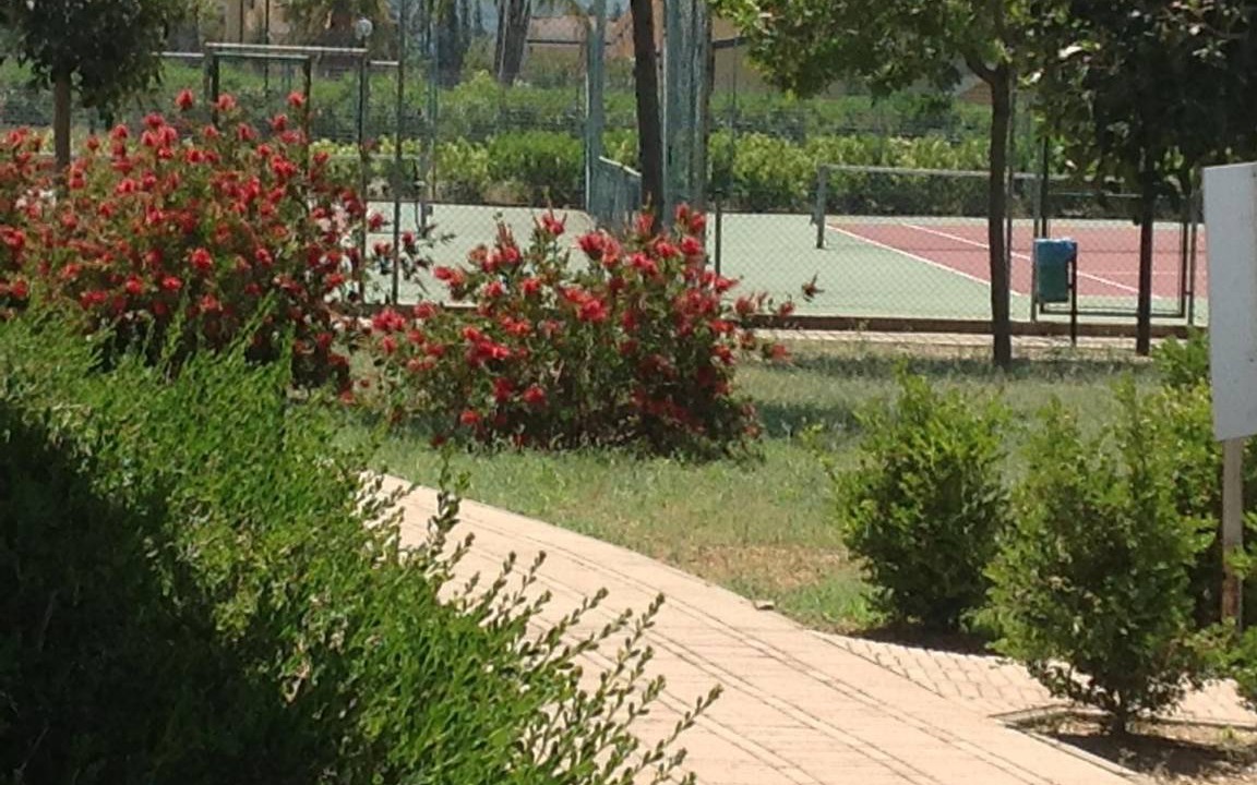 Photo of Outdoor in Pizzo