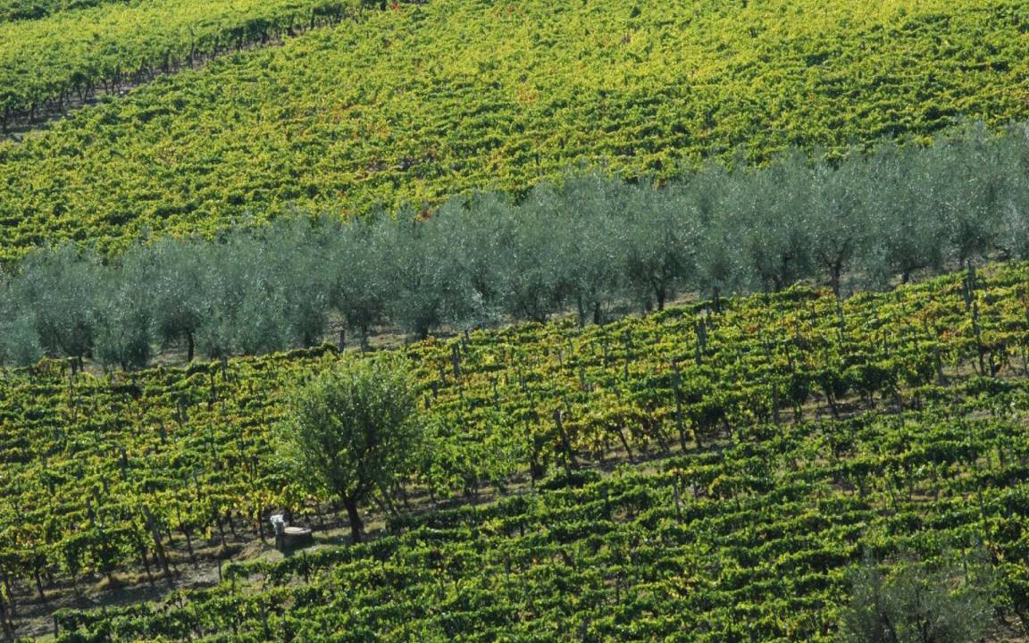 Photo of Others in Figline e Incisa Valdarno