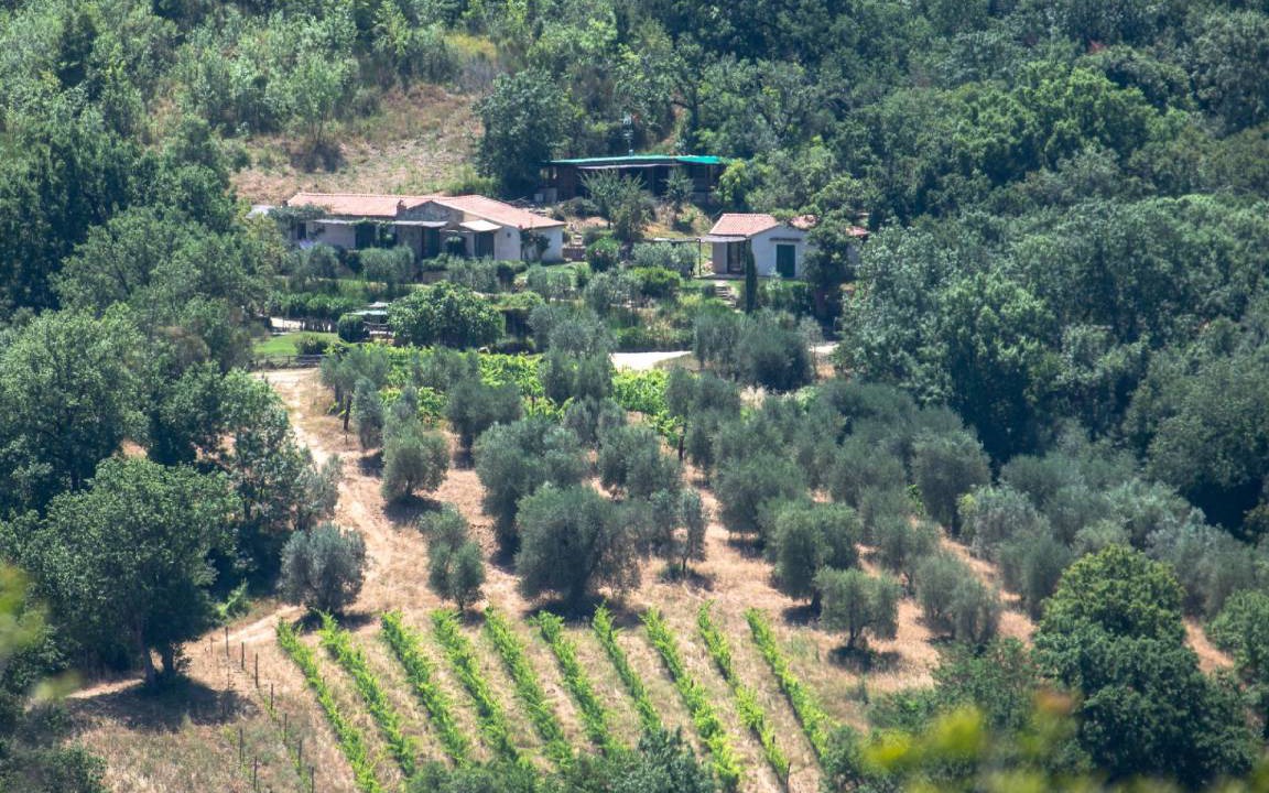 Photo of Others in Saturnia
