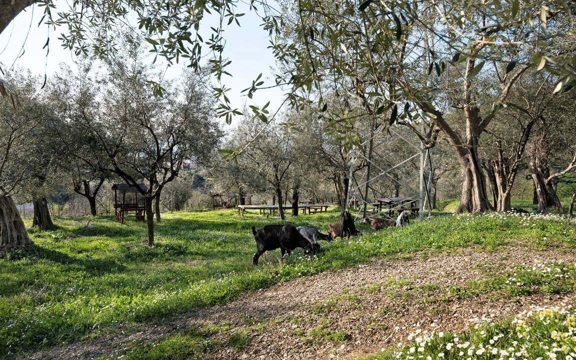 Photo of Others in Gragnano