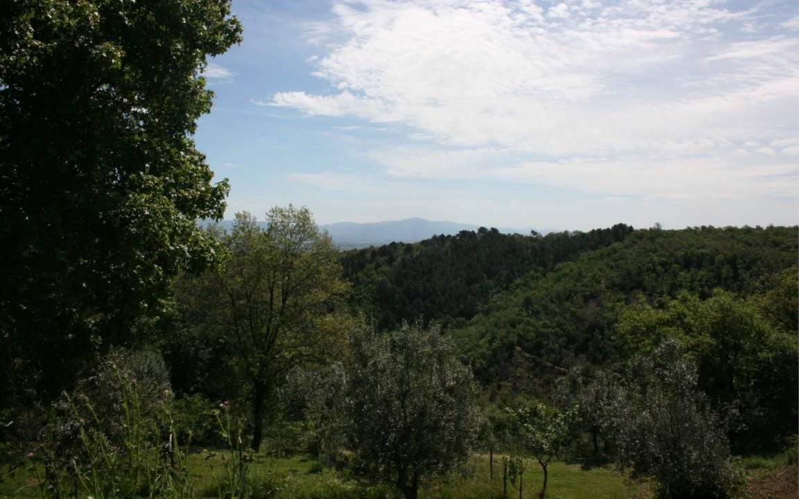 Photo of Others in Monte San Savino
