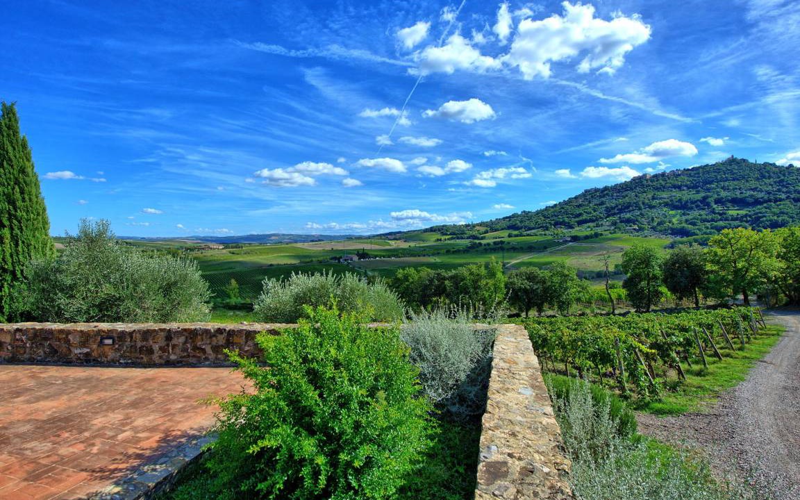 Photo of Others in Montalcino
