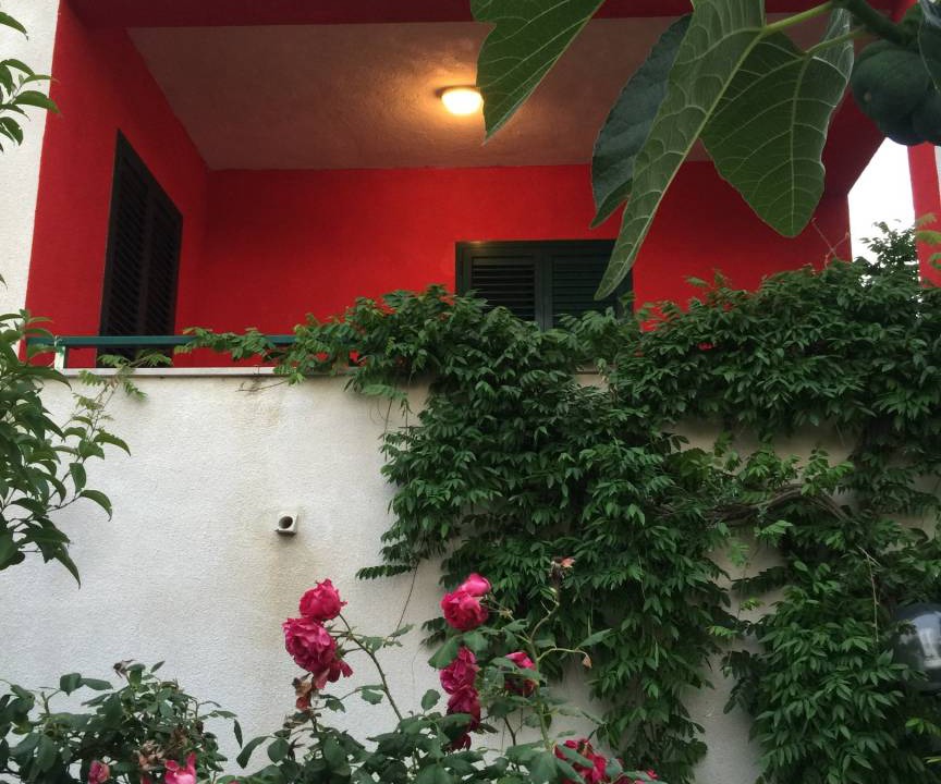 Photo of Others in Montenero di Bisaccia
