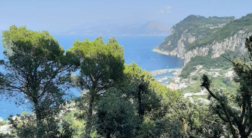 Photo of Others in Anacapri