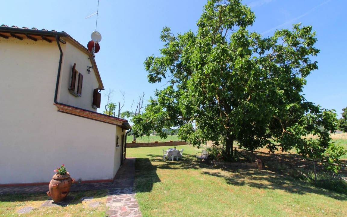 Photo of Others in Foiano della Chiana