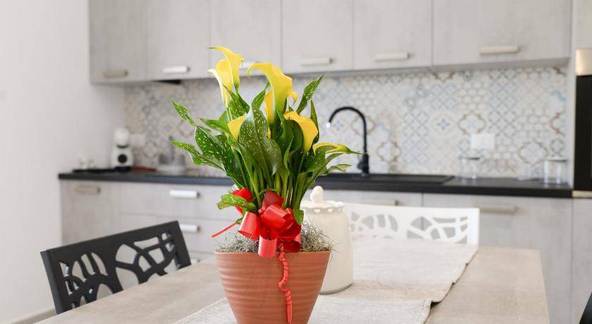 Photo of Kitchen in Scanzano Jonico