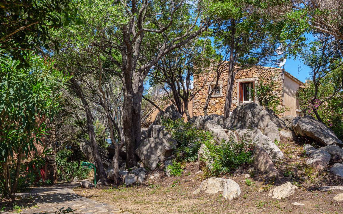 Photo of Others in Porto Rotondo