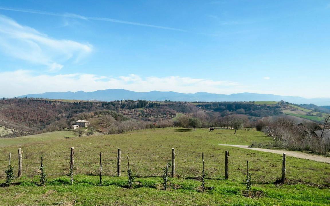 Photo of Others in Bagnoregio
