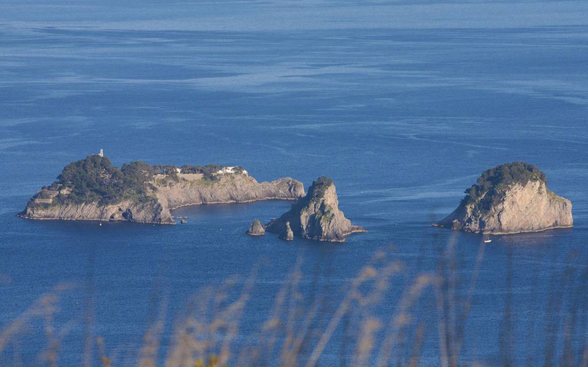 Photo of Others in Massa Lubrense