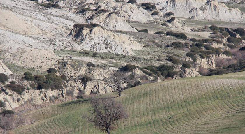 Photo of Others in Aliano