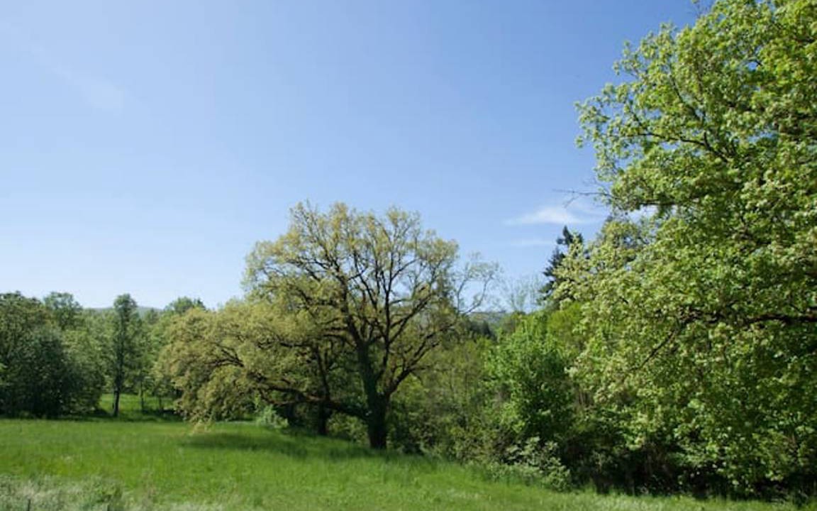 Photo of Others in Decollatura