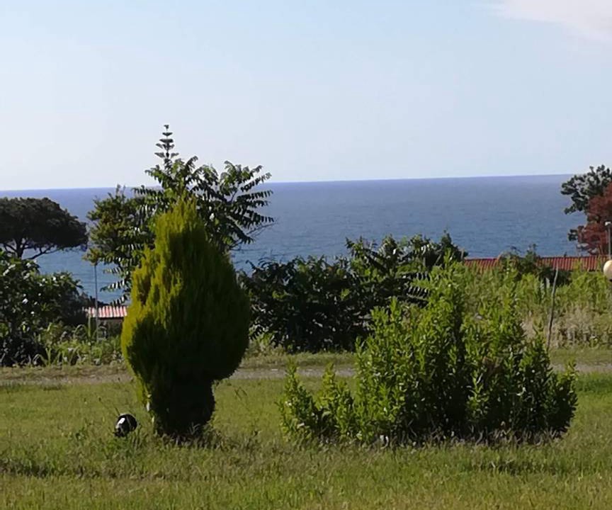Photo of Others in Parghelia