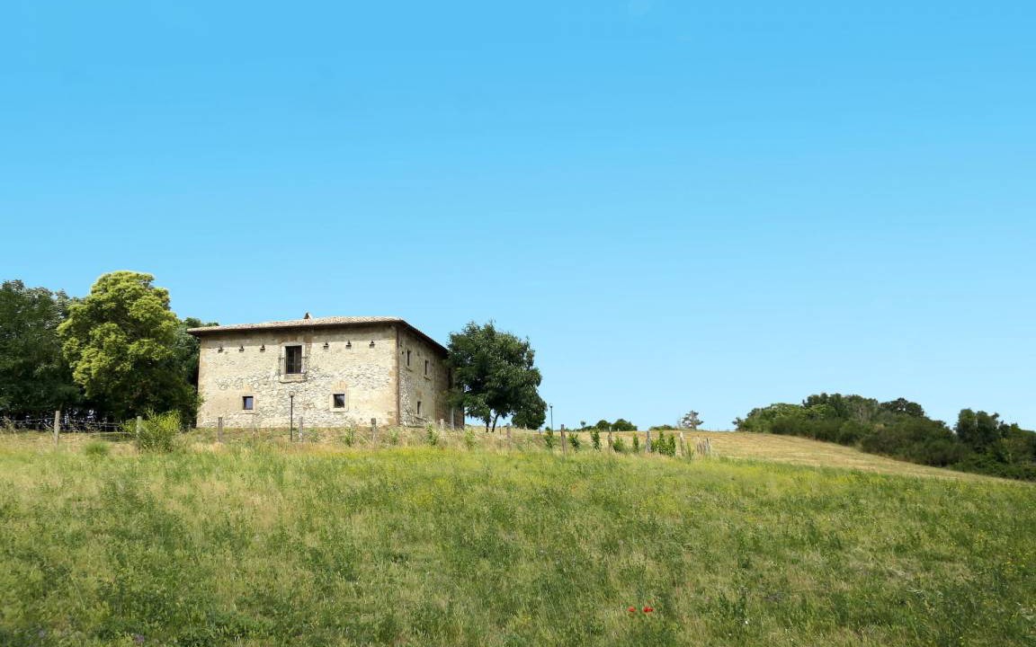 Photo of Others in Bagnoregio