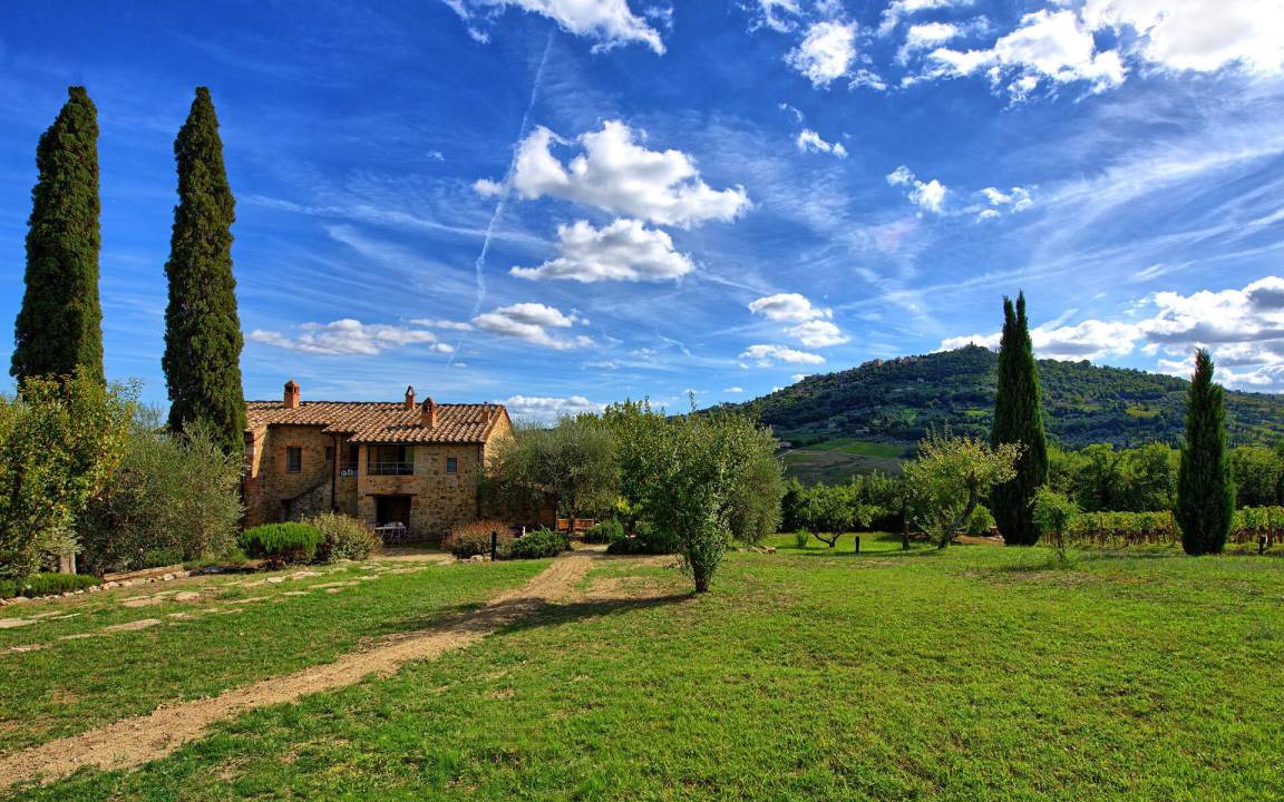 Photo of Others in Montalcino