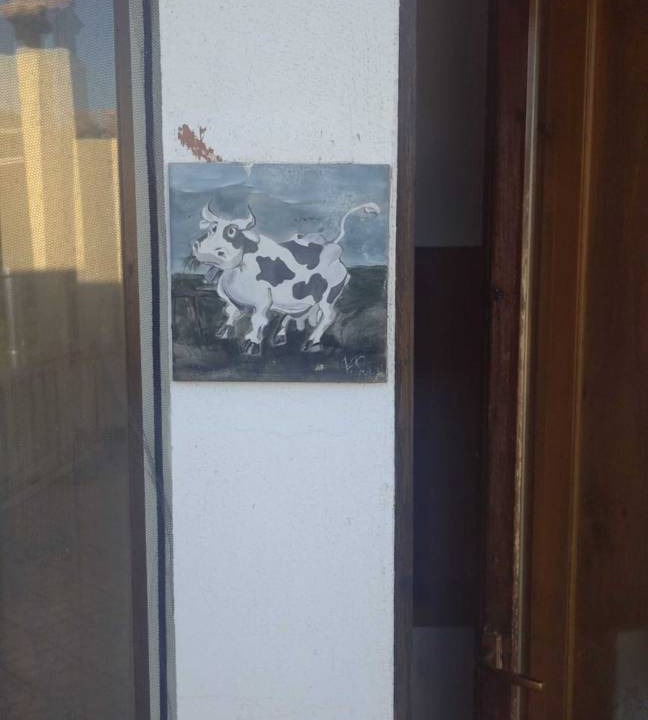 Photo of Others in Arcavacata
