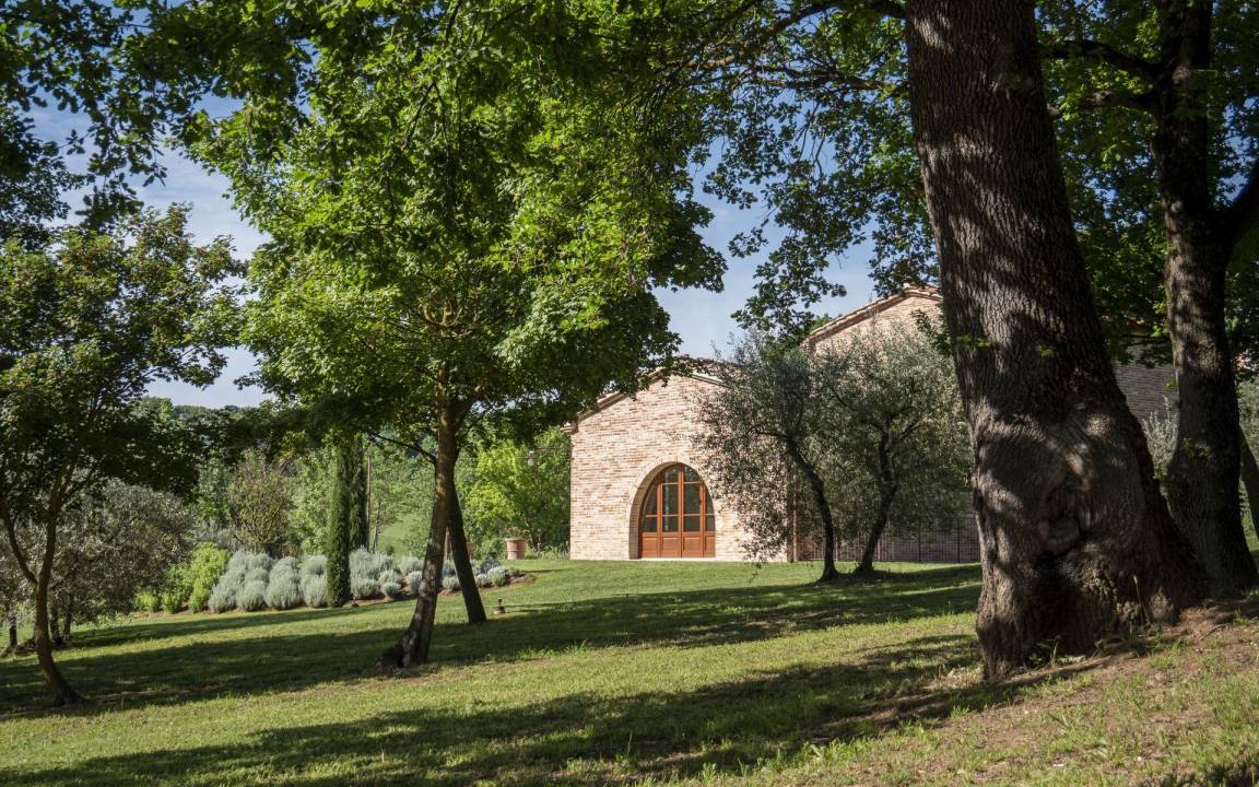 Photo of Others in Foiano della Chiana