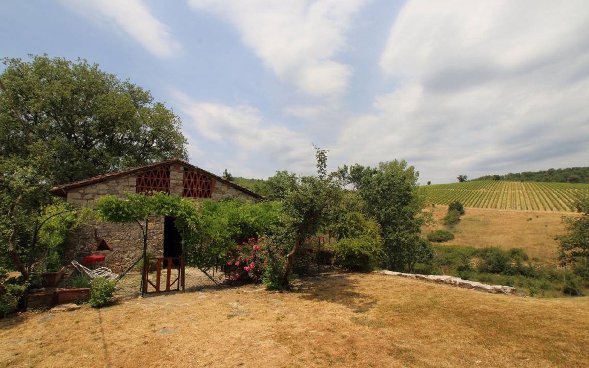 Photo of Others in Gaiole in Chianti