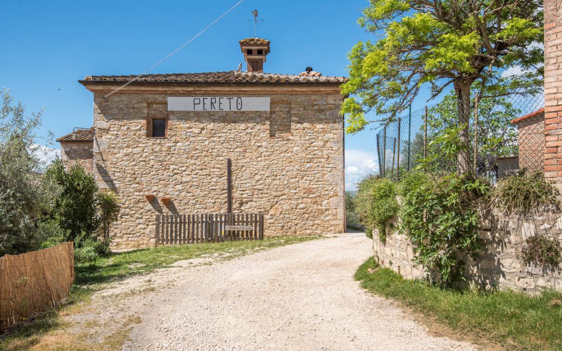 Photo of Others in Serre di Rapolano