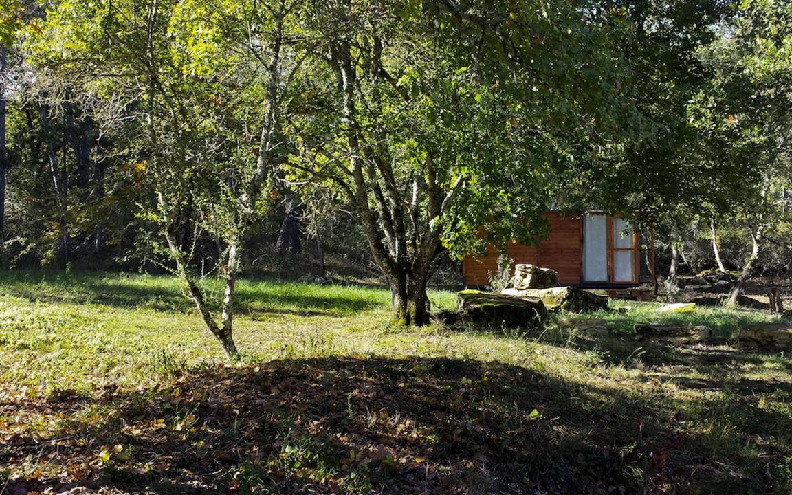 Photo of Others in Bucine