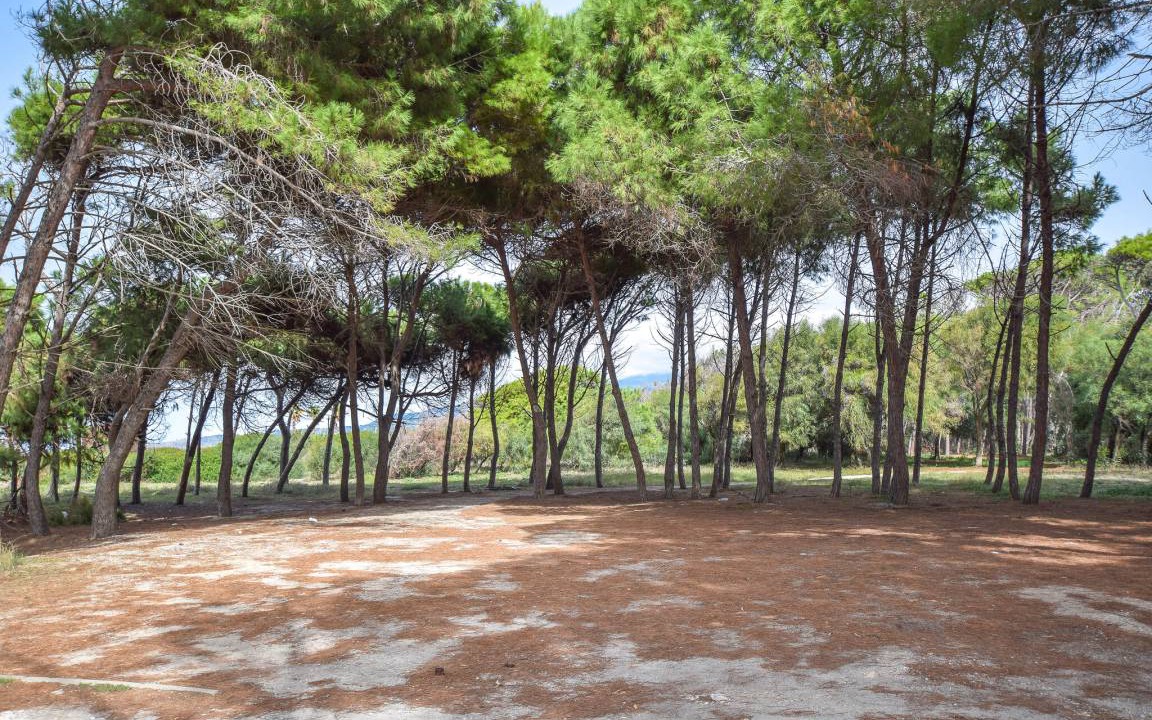 Photo of Others in Lamezia Terme