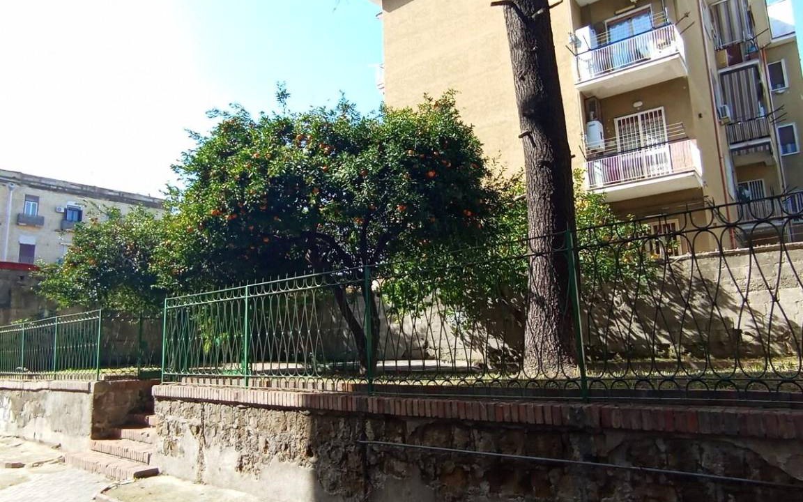 Photo of Others in Naples
