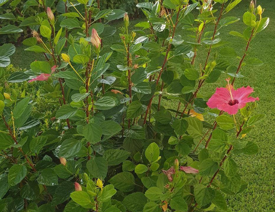 Photo of Outdoor in Ricadi