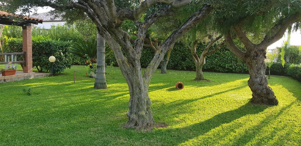 Photo of Outdoor in Ricadi